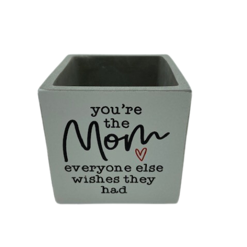 "You're the Mom" Succulent Pot - Not Just Baskets