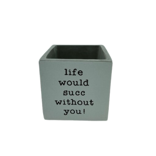 "Life would succ without you" Succulent Pot - Not Just Baskets
