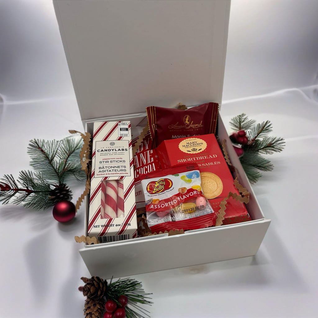 hot chocolate, shortbread, fudge, jellybellies, candy sticks