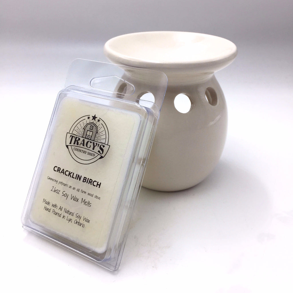 Hand Poured Melts and Warmer - Not Just Baskets